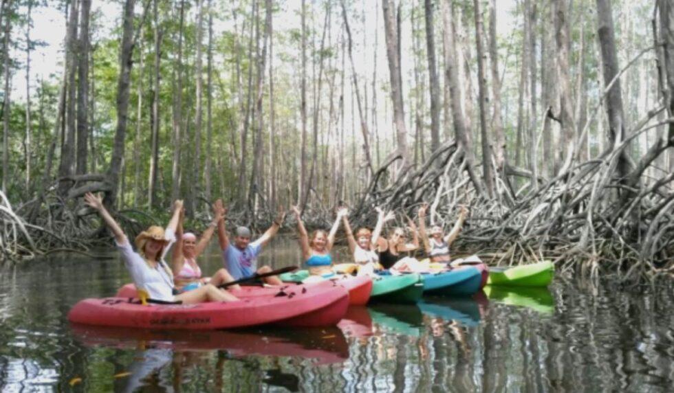 Tours In Uvita - Whale Tail Costa Rica